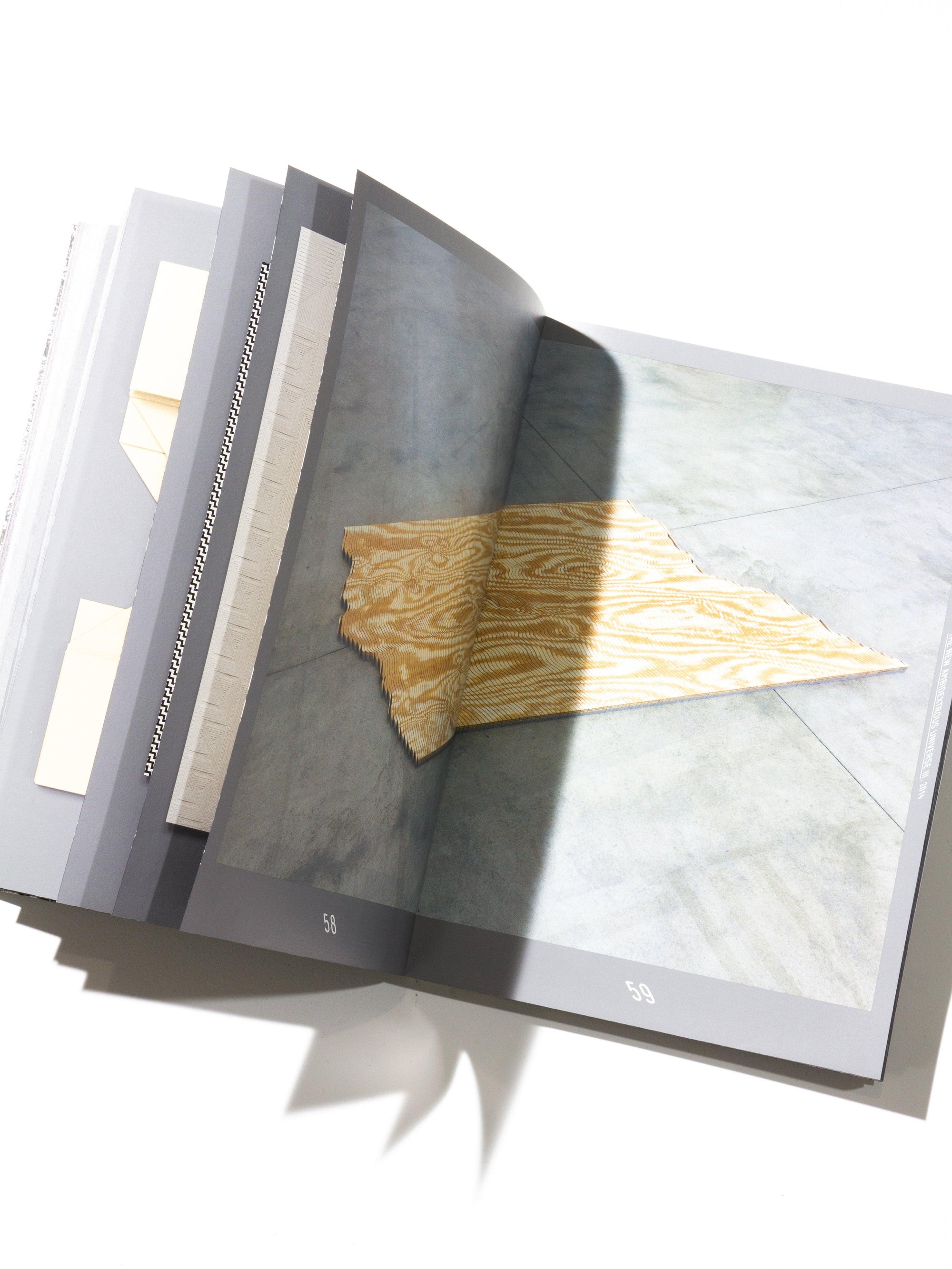 Tauba Auerbach — S v Z