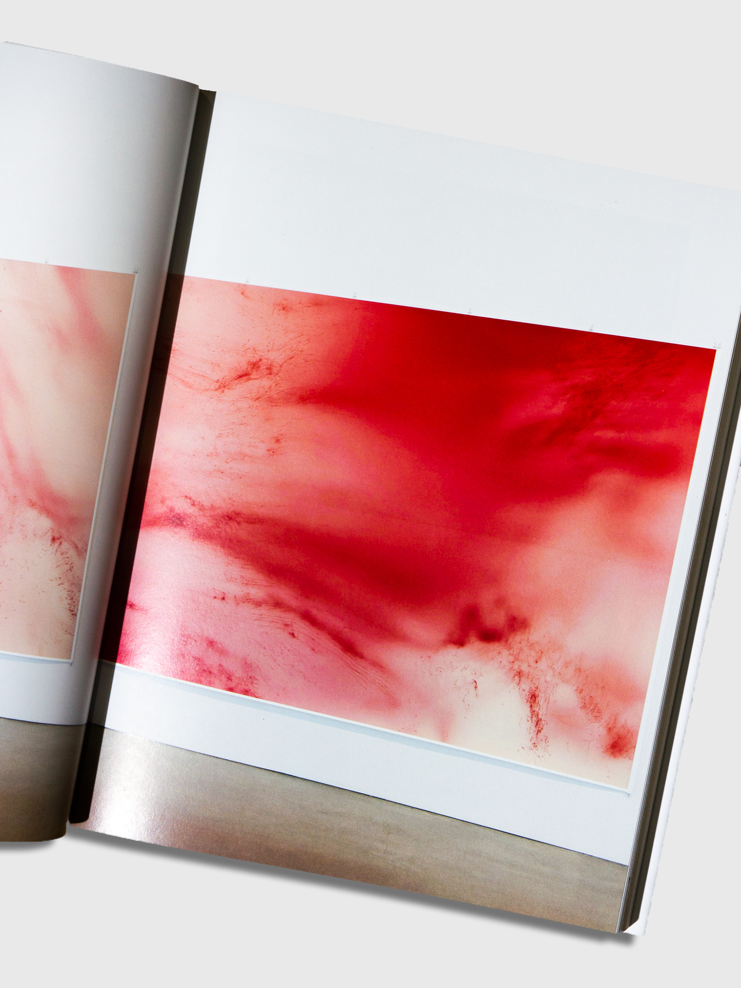 Wolfgang Tillmans: To look Without Fear